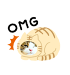 猫のタビッチ！ 猫着ぐるみ猫 (英語)（個別スタンプ：9）