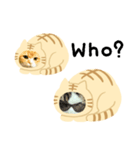 猫のタビッチ！ 猫着ぐるみ猫 (英語)（個別スタンプ：17）