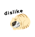 猫のタビッチ！ 猫着ぐるみ猫 (英語)（個別スタンプ：19）