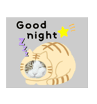 猫のタビッチ！ 猫着ぐるみ猫 (英語)（個別スタンプ：21）