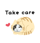 猫のタビッチ！ 猫着ぐるみ猫 (英語)（個別スタンプ：22）