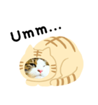 猫のタビッチ！ 猫着ぐるみ猫 (英語)（個別スタンプ：23）