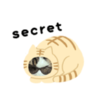 猫のタビッチ！ 猫着ぐるみ猫 (英語)（個別スタンプ：24）