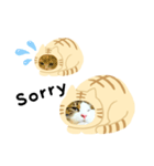 猫のタビッチ！ 猫着ぐるみ猫 (英語)（個別スタンプ：28）