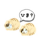 猫のタビッチ！ 猫着ぐるみ猫 (日本語)（個別スタンプ：4）
