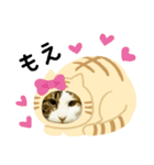猫のタビッチ！ 猫着ぐるみ猫 (日本語)（個別スタンプ：6）