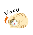 猫のタビッチ！ 猫着ぐるみ猫 (日本語)（個別スタンプ：9）