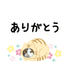 猫のタビッチ！ 猫着ぐるみ猫 (日本語)（個別スタンプ：12）