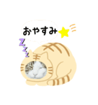 猫のタビッチ！ 猫着ぐるみ猫 (日本語)（個別スタンプ：21）