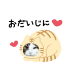 猫のタビッチ！ 猫着ぐるみ猫 (日本語)（個別スタンプ：22）