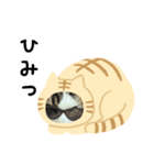 猫のタビッチ！ 猫着ぐるみ猫 (日本語)（個別スタンプ：24）