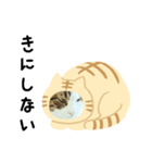 猫のタビッチ！ 猫着ぐるみ猫 (日本語)（個別スタンプ：27）