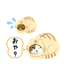 猫のタビッチ！ 猫着ぐるみ猫 (日本語)（個別スタンプ：28）