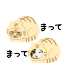 猫のタビッチ！ 猫着ぐるみ猫 (日本語)（個別スタンプ：29）