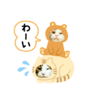 猫のタビッチ！ 猫着ぐるみ猫 (日本語)（個別スタンプ：31）
