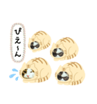 猫のタビッチ！ 猫着ぐるみ猫 (日本語)（個別スタンプ：34）