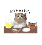 ぼくミヌえもん（個別スタンプ：8）