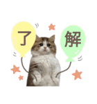 ぼくミヌえもん（個別スタンプ：10）