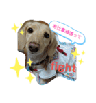 もずくさんのスタンプ（個別スタンプ：6）