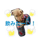 もずくさんのスタンプ（個別スタンプ：7）