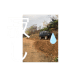 TAJIRISTAMP（個別スタンプ：21）