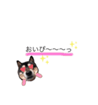 さやかとさすけ（個別スタンプ：8）