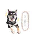 さやかとさすけ（個別スタンプ：20）