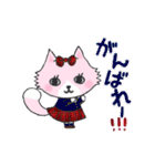 大人可愛い♡モフモフすぎる猫のたぬきち（個別スタンプ：13）