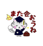 大人可愛い♡モフモフすぎる猫のたぬきち（個別スタンプ：19）