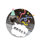 小動物たちの日常（個別スタンプ：2）