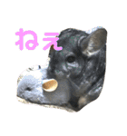 ネズミさん、令和のしめきくちゃん（個別スタンプ：3）