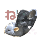 ネズミさん、令和のしめきくちゃん（個別スタンプ：4）
