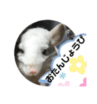 ネズミさん、令和のしめきくちゃん（個別スタンプ：5）