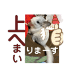 ネズミさん、令和のしめきくちゃん（個別スタンプ：9）