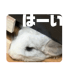 ネズミさん、令和のしめきくちゃん（個別スタンプ：11）