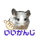 ネズミさん、令和のしめきくちゃん（個別スタンプ：12）