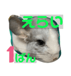 ネズミさん、令和のしめきくちゃん（個別スタンプ：17）