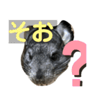 ネズミさん、令和のしめきくちゃん（個別スタンプ：19）