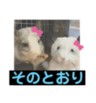ネズミさん、令和のしめきくちゃん（個別スタンプ：20）