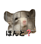 ネズミさん、令和のしめきくちゃん（個別スタンプ：22）