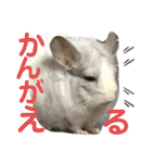 ネズミさん、令和のしめきくちゃん（個別スタンプ：23）