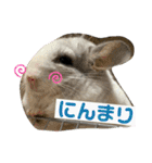 ネズミさん、令和のしめきくちゃん（個別スタンプ：26）