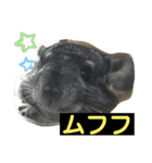 ネズミさん、令和のしめきくちゃん（個別スタンプ：28）