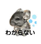 ネズミさん、令和のしめきくちゃん（個別スタンプ：32）