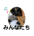 ネズミさん、令和のしめきくちゃん（個別スタンプ：33）