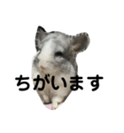 ネズミさん、令和のしめきくちゃん（個別スタンプ：34）