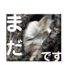 ネズミさん、令和のしめきくちゃん（個別スタンプ：35）