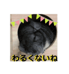 ネズミさん、令和のしめきくちゃん（個別スタンプ：39）