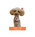 ふちあいんげ（個別スタンプ：7）