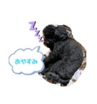 モカ・レイの日常（個別スタンプ：3）